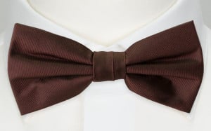 SOLID Brown boy's bow tie