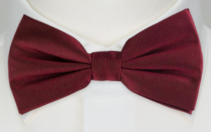 SOLID Burgundy boy's bow tie