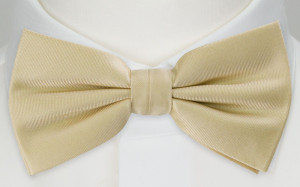 SOLID Champagne boy's bow tie