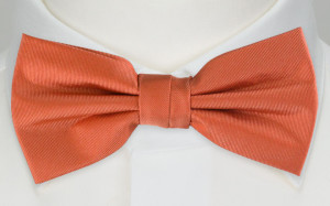 SOLID Dark peach boy's bow tie