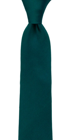 SOLID Dark pine boy's tie medium