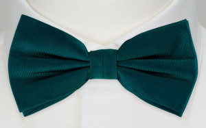 SOLID DARK PINE boy's bow tie