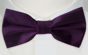 SOLID Dark purple boy's bow tie