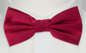 SOLID Fuchsia boy's bow tie