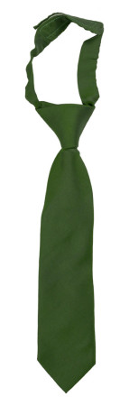 SOLID Green boy's tie small pre-tied