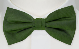 SOLID GREEN boy's bow tie