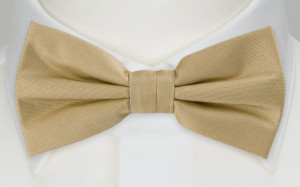 SOLID Khaki boy's bow tie
