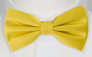 SOLID Lemon boy's bow tie
