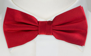 SOLID Light red boy's bow tie