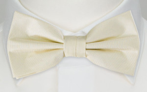 SOLID Off white boy's bow tie