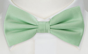 SOLID PASTEL GREEN boy's bow tie