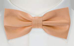 SOLID Peach boy's bow tie
