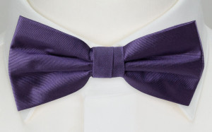 SOLID Purple boy's bow tie