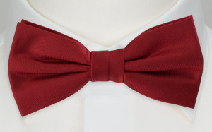 SOLID Red boy's bow tie