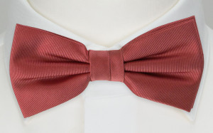 SOLID Rose boy's bow tie