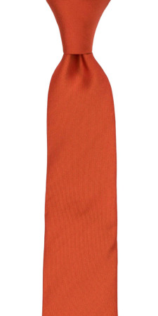 SOLID Rusty Orange boy's tie medium