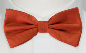 SOLID Rusty Orange boy's bow tie