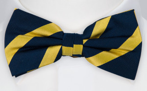 TURE pre-tied bow tie