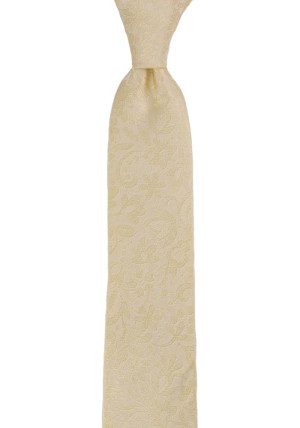 VIGSEL CHAMPAGNE boy's tie medium