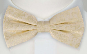 VIGSEL CHAMPAGNE boy's bow tie