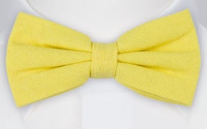 WISTFUL LIGHT YELLOW bow tie
