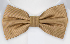 JAMES pre-tied bow tie