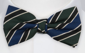 LINED UP GREEN BLUE pre-tied bow tie