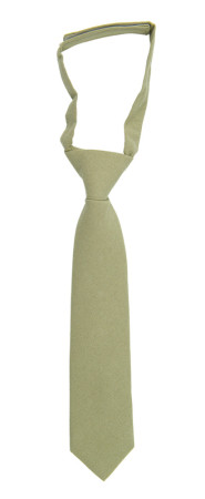 MOREAMORE Sage green boy's tie small pre-tied