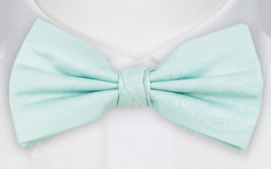 MYLOVER MINT pre-tied bow tie