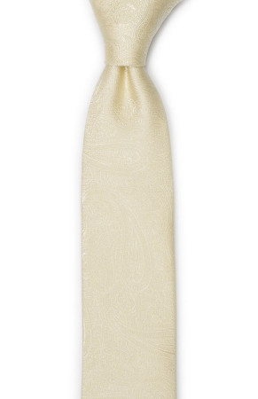 ORNATE Champagne boy's tie medium
