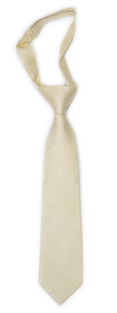 ORNATE Champagne boy's tie small pre-tied