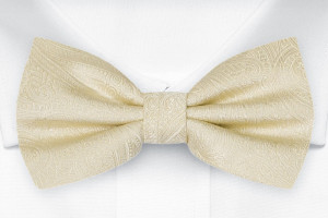 ORNATE CHAMPAGNE boy's bow tie
