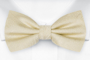 ORNATE CHAMPAGNE pre-tied bow tie