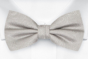ORNATE SILVER boy's bow tie