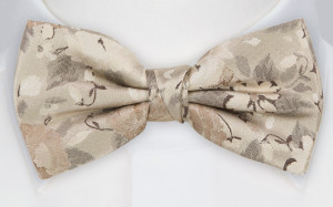 PROPOSAL TAN pre-tied bow tie