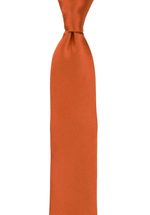 SATIN BRICK boy's tie medium