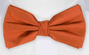 SATIN BRICK boy's bow tie