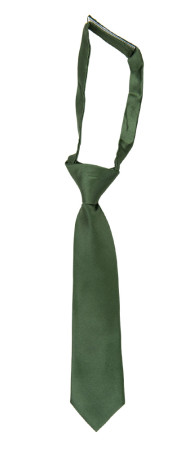 SATIN DARK SAGE boy's tie small pre-tied