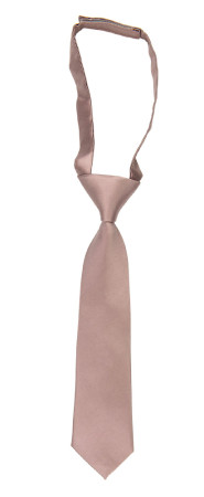 Satin Rose Taupe boy's tie small pre-tied