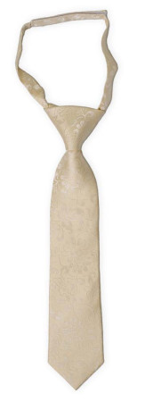 SAVETHEDATE Champagne boy's tie small pre-tied