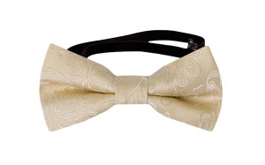 SAVETHEDATE CHAMPAGNE baby bow tie