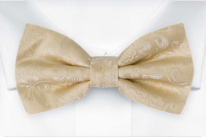 SAVETHEDATE CHAMPAGNE boy's bow tie