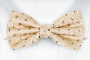 SETTLEDOWN CHAMPAGNE boy's bow tie