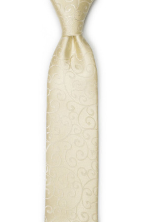 SNAZZY Champagne boy's tie medium