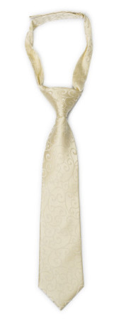 SNAZZY Champagne boy's tie small pre-tied