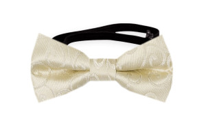 SNAZZY CHAMPAGNE baby bow tie