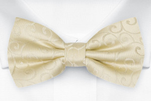 SNAZZY CHAMPAGNE boy's bow tie