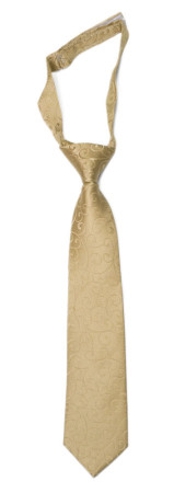 SNAZZY Gold boy's tie small pre-tied