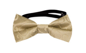 SNAZZY GOLD baby bow tie
