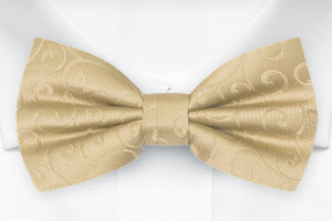 SNAZZY GOLD boy's bow tie